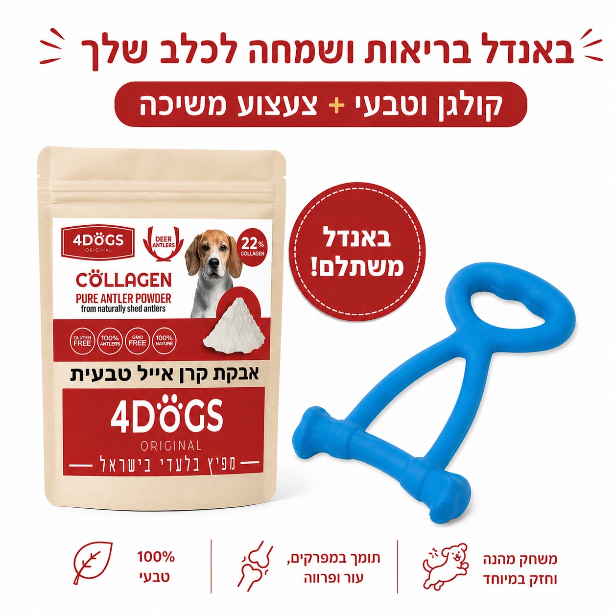 אבקת קרן אייל טבעית טהורה 100% – סופר תוסף תזונה לכלב (עם אישורי Food ...
