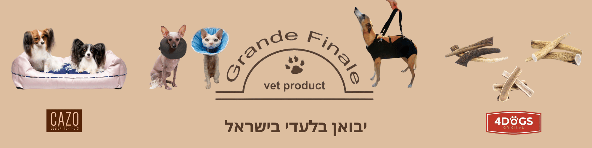 באנר ראשי דסקטופ