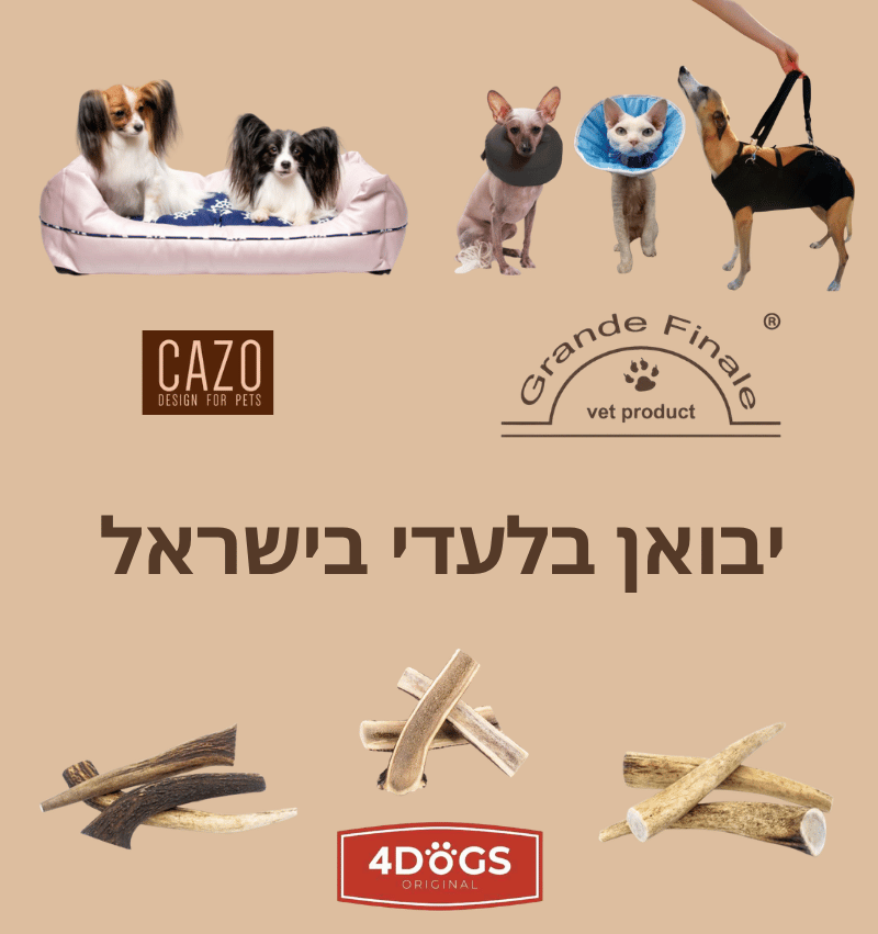 באנר ראשי מובייל
